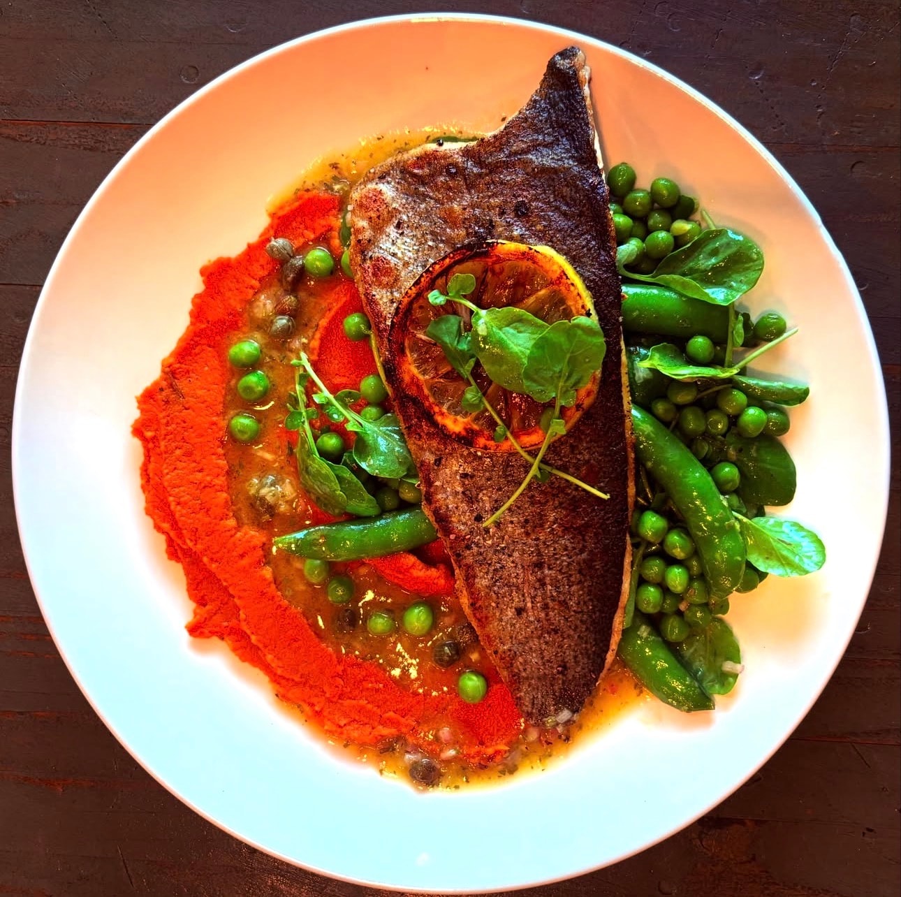 Beautifully plated dish by private chef Tampa Bay